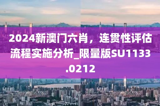 2024新澳门六肖，连贯性评估流程实施分析_限量版SU1133.0212