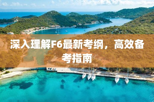 深入理解F6最新考纲，高效备考指南