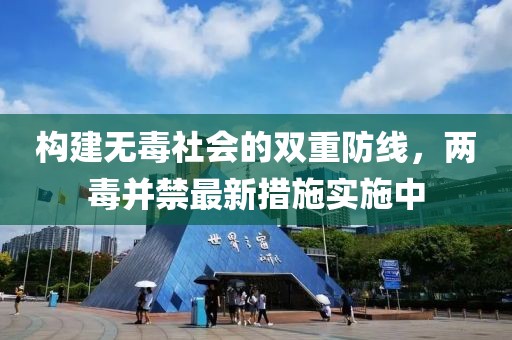 构建无毒社会的双重防线，两毒并禁最新措施实施中