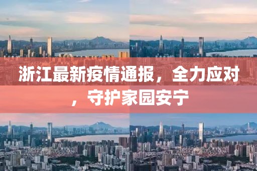 浙江最新疫情通报，全力应对，守护家园安宁