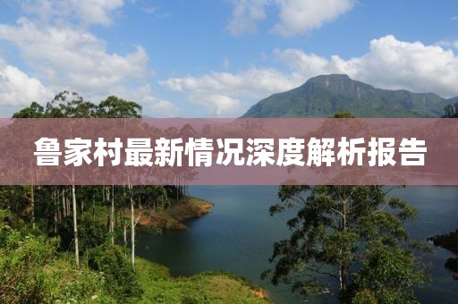 鲁家村最新情况深度解析报告