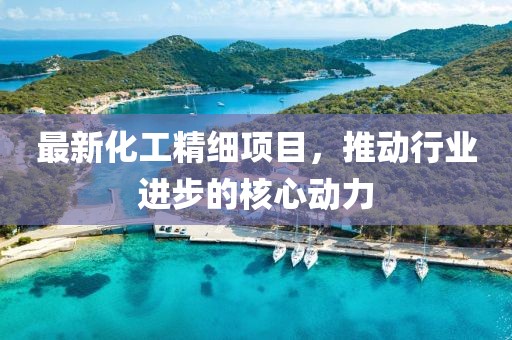 最新化工精细项目，推动行业进步的核心动力