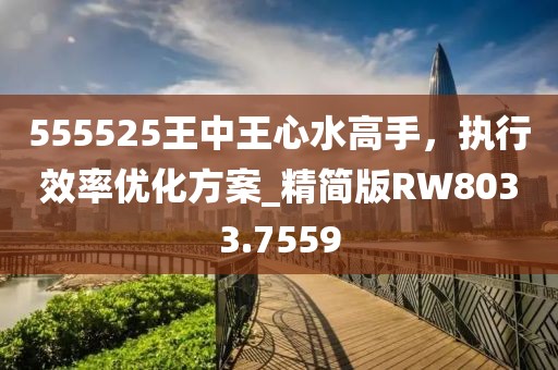 555525王中王心水高手，执行效率优化方案_精简版RW8033.7559