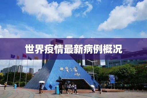 世界疫情最新病例概况