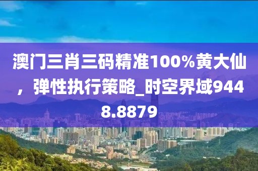 澳门三肖三码精准100%黄大仙，弹性执行策略_时空界域9448.8879