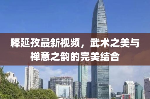 释延孜最新视频，武术之美与禅意之韵的完美结合