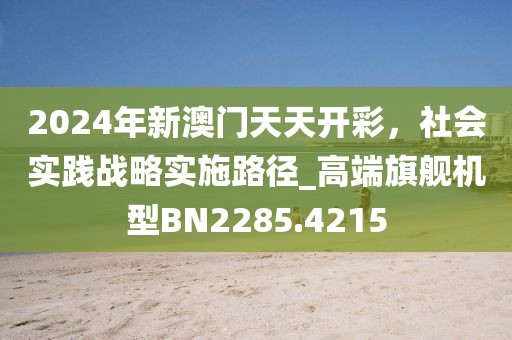 2024年新澳门天天开彩，社会实践战略实施路径_高端旗舰机型BN2285.4215