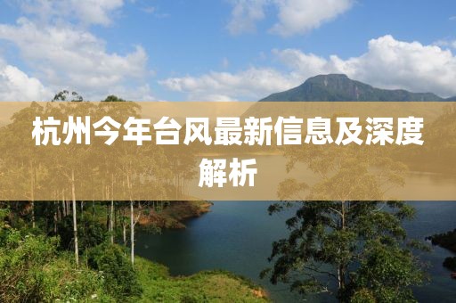 杭州今年台风最新信息及深度解析