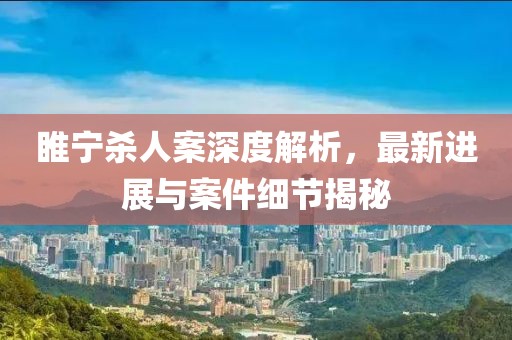 睢宁杀人案深度解析，最新进展与案件细节揭秘