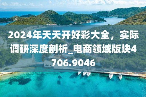 2024年天天开好彩大全，实际调研深度剖析_电商领域版块4706.9046