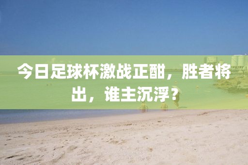 今日足球杯激战正酣，胜者将出，谁主沉浮？