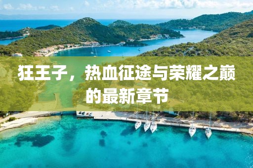 狂王子，热血征途与荣耀之巅的最新章节