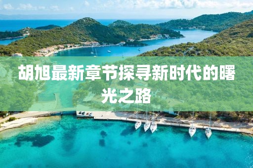 胡旭最新章节探寻新时代的曙光之路
