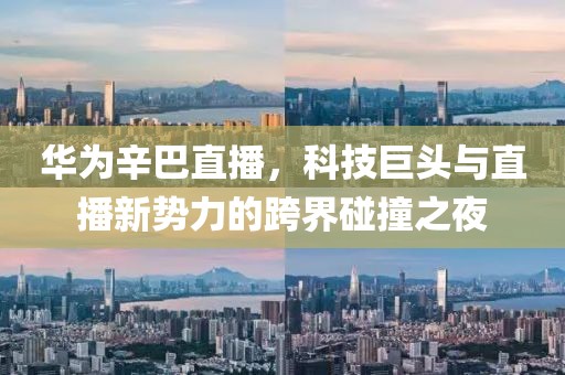 华为辛巴直播，科技巨头与直播新势力的跨界碰撞之夜
