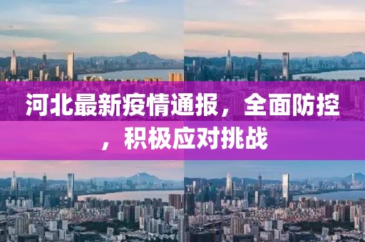 河北最新疫情通报，全面防控，积极应对挑战