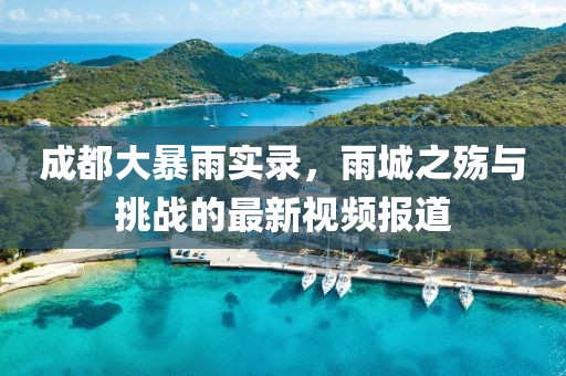 成都大暴雨实录，雨城之殇与挑战的最新视频报道