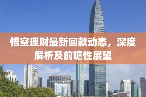 悟空理财最新回款动态，深度解析及前瞻性展望