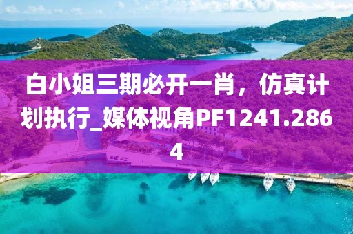 白小姐三期必开一肖，仿真计划执行_媒体视角PF1241.2864