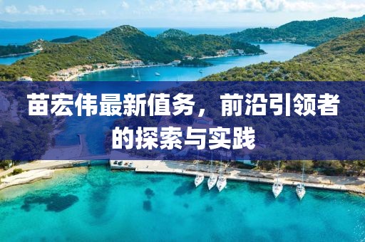 苗宏伟最新值务，前沿引领者的探索与实践
