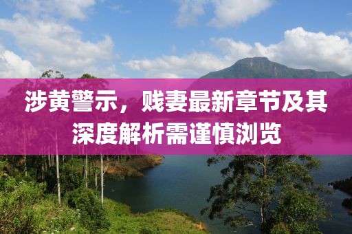 涉黄警示，贱妻最新章节及其深度解析需谨慎浏览