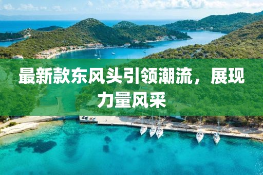最新款东风头引领潮流，展现力量风采