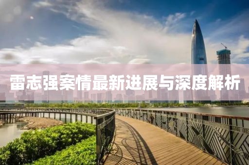 雷志强案情最新进展与深度解析