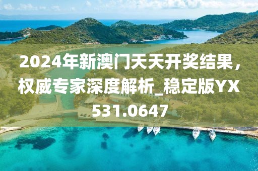 2024年新澳门天天开奖结果，权威专家深度解析_稳定版YX531.0647