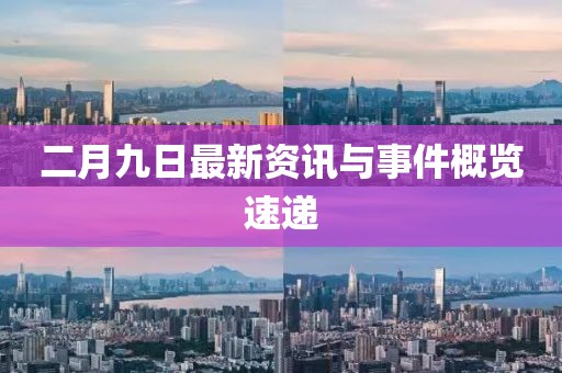 二月九日最新资讯与事件概览速递