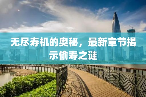 无尽寿机的奥秘，最新章节揭示偷寿之谜