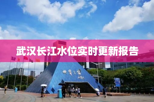 武汉长江水位实时更新报告