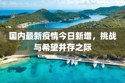 国内最新疫情今日新增，挑战与希望并存之际