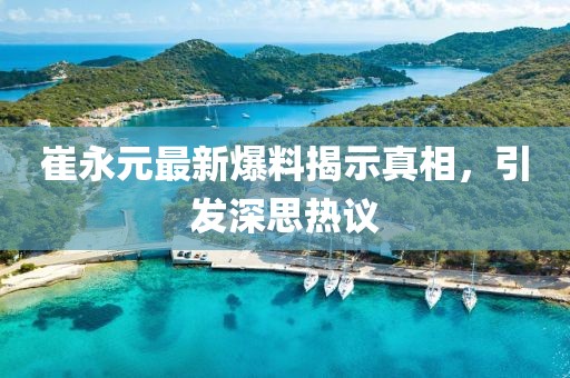 崔永元最新爆料揭示真相，引发深思热议