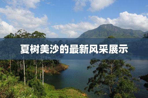 甜味拾荒者 第18页