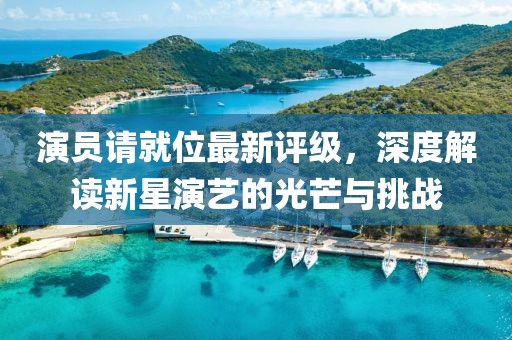演员请就位最新评级，深度解读新星演艺的光芒与挑战