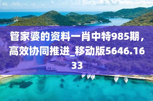 管家婆的资料一肖中特985期，高效协同推进_移动版5646.1633