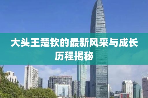 大头王楚钦的最新风采与成长历程揭秘