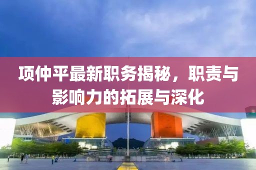项仲平最新职务揭秘，职责与影响力的拓展与深化