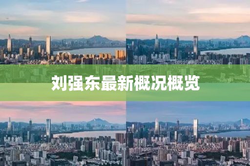 刘强东最新概况概览