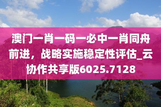 澳门一肖一码一必中一肖同舟前进，战略实施稳定性评估_云协作共享版6025.7128