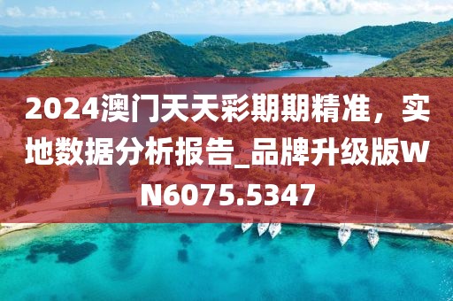 2024澳门天天彩期期精准，实地数据分析报告_品牌升级版WN6075.5347