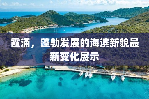 霞涌，蓬勃发展的海滨新貌最新变化展示
