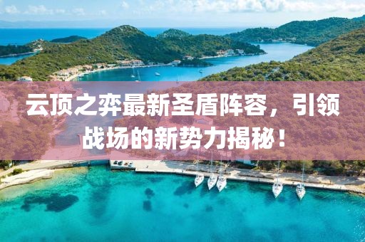 云顶之弈最新圣盾阵容，引领战场的新势力揭秘！
