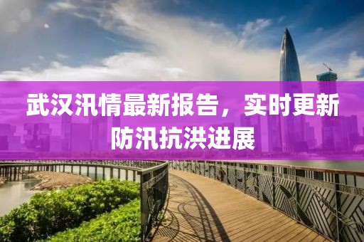 武汉汛情最新报告，实时更新防汛抗洪进展