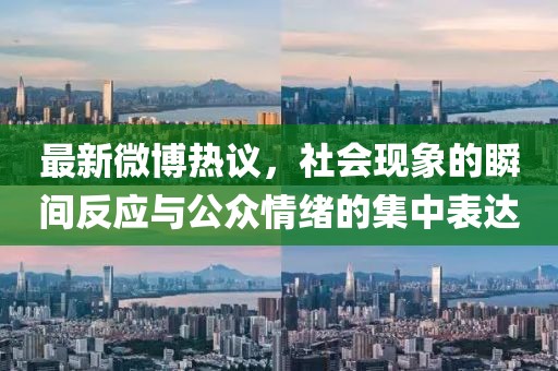最新微博热议，社会现象的瞬间反应与公众情绪的集中表达