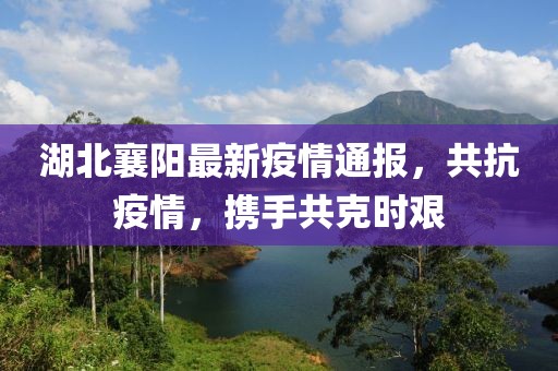 湖北襄阳最新疫情通报，共抗疫情，携手共克时艰
