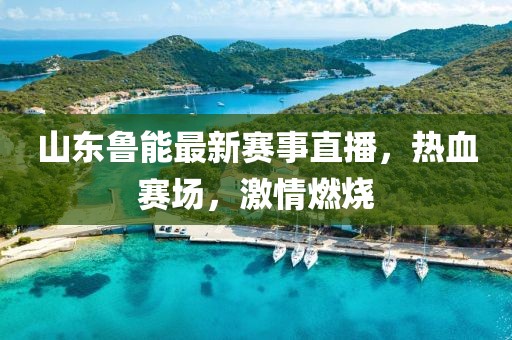 山东鲁能最新赛事直播，热血赛场，激情燃烧
