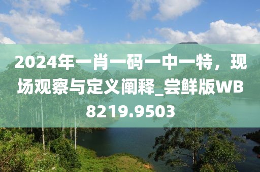 2024年一肖一码一中一特，现场观察与定义阐释_尝鲜版WB8219.9503