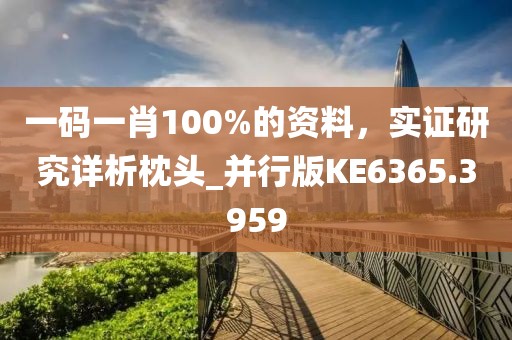 一码一肖100%的资料，实证研究详析枕头_并行版KE6365.3959