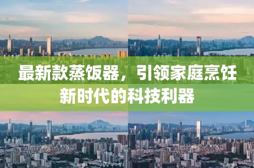 最新款蒸饭器，引领家庭烹饪新时代的科技利器