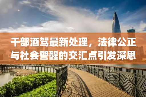 干部酒驾最新处理，法律公正与社会警醒的交汇点引发深思